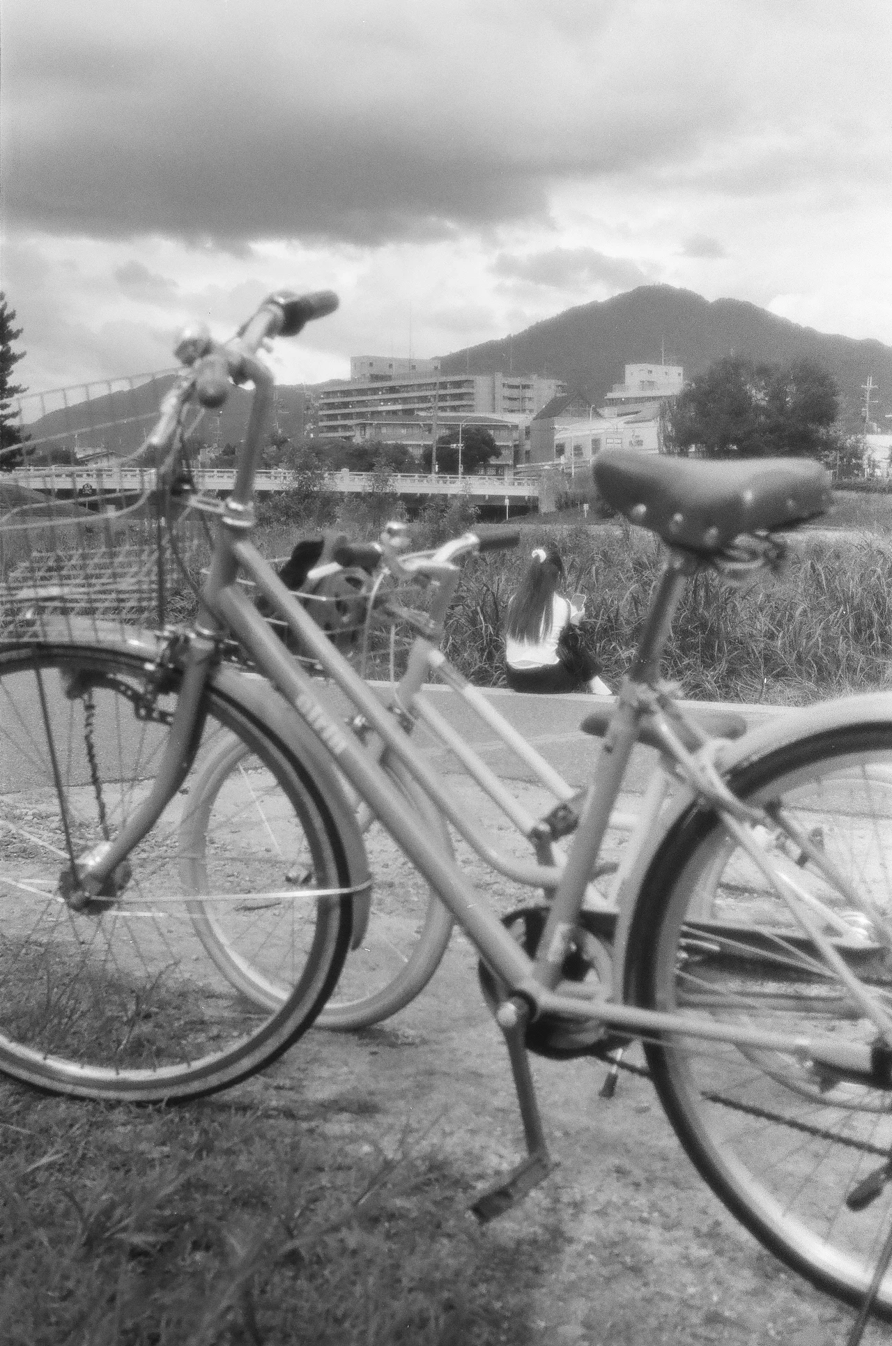 川辺に並ぶ自転車